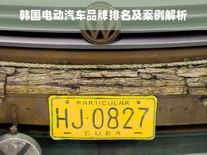韩国电动汽车品牌排名及案例解析