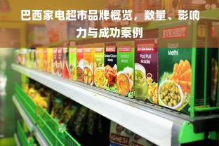 巴西家电超市品牌概览，数量、影响力与成功案例