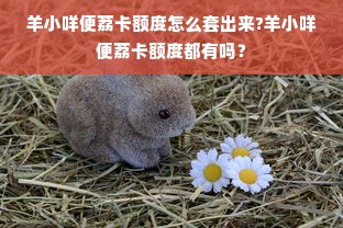 羊小咩便荔卡额度怎么套出来?羊小咩便荔卡额度都有吗？