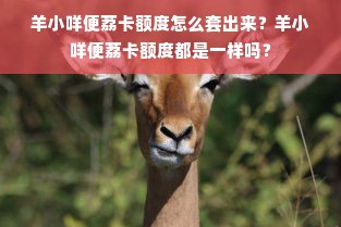 羊小咩便荔卡额度怎么套出来？羊小咩便荔卡额度都是一样吗？
