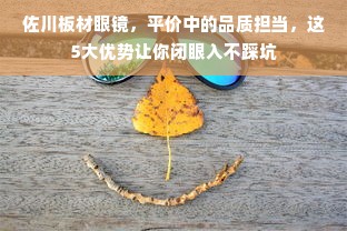 佐川板材眼镜，平价中的品质担当，这5大优势让你闭眼入不踩坑