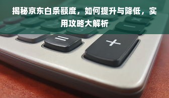 揭秘京东白条额度，如何提升与降低，实用攻略大解析