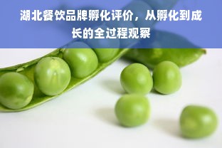 湖北餐饮品牌孵化评价，从孵化到成长的全过程观察