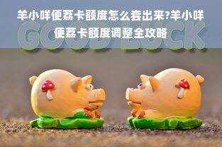 羊小咩便荔卡额度怎么套出来?羊小咩便荔卡额度调整全攻略