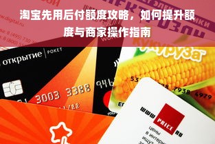 淘宝先用后付额度攻略，如何提升额度与商家操作指南