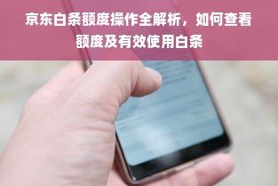 京东白条额度操作全解析，如何查看额度及有效使用白条