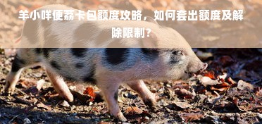 羊小咩便荔卡包额度攻略，如何套出额度及解除限制？