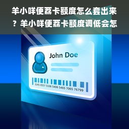 羊小咩便荔卡额度怎么套出来？羊小咩便荔卡额度调低会怎么样？