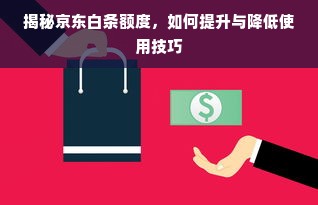 揭秘京东白条额度，如何提升与降低使用技巧