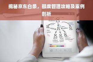 揭秘京东白条，额度管理攻略及案例剖析