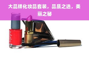 大品牌化妆品套装，品质之选，美丽之秘