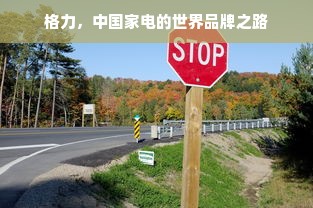 格力，中国家电的世界品牌之路
