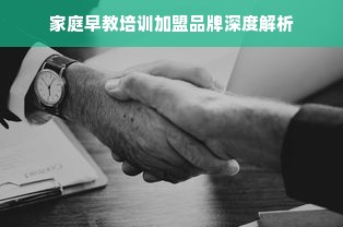 家庭早教培训加盟品牌深度解析