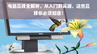 电脑品牌全解析，从入门到高端，这些品牌你必须知道！