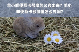 羊小咩便荔卡额度怎么套出来？羊小咩便荔卡额度低怎么办啊？
