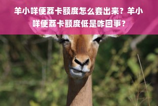 羊小咩便荔卡额度怎么套出来？羊小咩便荔卡额度低是咋回事？