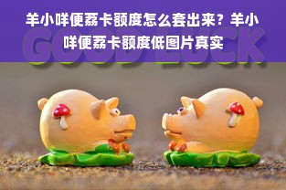 羊小咩便荔卡额度怎么套出来？羊小咩便荔卡额度低图片真实