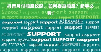 抖音月付额度攻略，如何提高额度？新手必看！