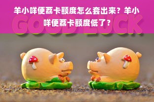 羊小咩便荔卡额度怎么套出来？羊小咩便荔卡额度低了？