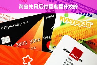 淘宝先用后付额度提升攻略
