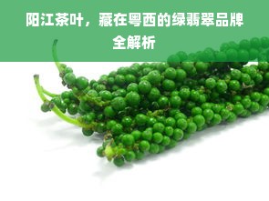 阳江茶叶，藏在粤西的绿翡翠品牌全解析