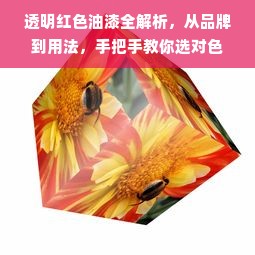 透明红色油漆全解析，从品牌到用法，手把手教你选对色