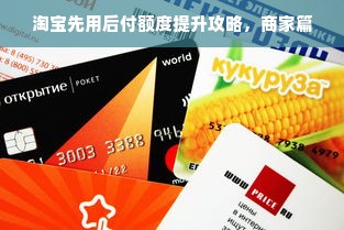 淘宝先用后付额度提现商家指南，最低额度何时出？怎么操作？