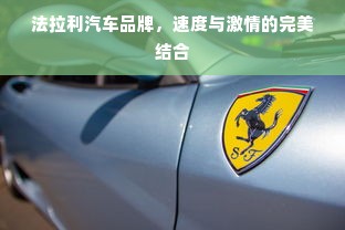 法拉利汽车品牌，速度与激情的完美结合