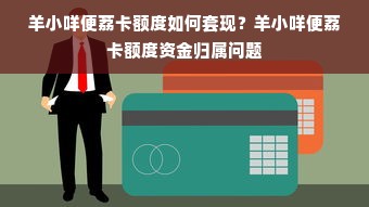 羊小咩便荔卡额度如何套现？羊小咩便荔卡额度资金归属问题
