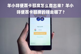羊小咩便荔卡额度怎么套出来？羊小咩便荔卡额度的钱去哪了？
