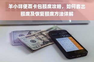 羊小咩便荔卡包额度攻略，如何套出额度及恢复额度方法详解