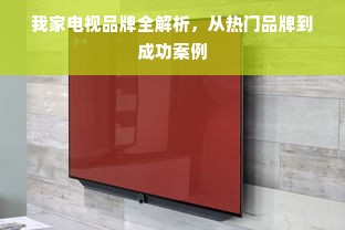 我家电视品牌全解析，从热门品牌到成功案例
