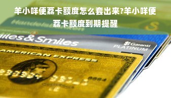 羊小咩便荔卡额度怎么套出来?羊小咩便荔卡额度到期提醒