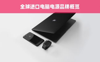 全球进口电脑电源品牌概览
