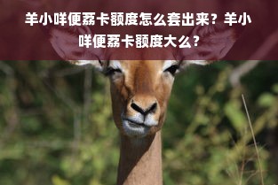 羊小咩便荔卡额度怎么套出来？羊小咩便荔卡额度大么？