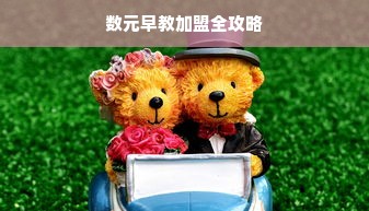 数元早教加盟全攻略
