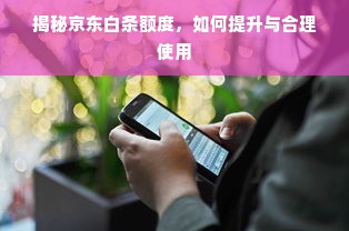 揭秘京东白条额度，如何提升与合理使用