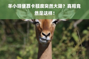 羊小咩便荔卡额度突然大降？真相竟然是这样！