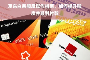 京东白条额度操作指南，如何提升额度并顺利付款