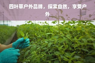 四叶草户外品牌，探索自然，享受户外