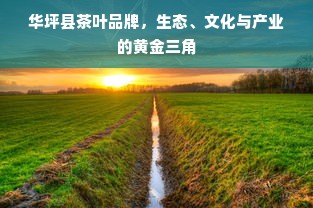 华坪县茶叶品牌，生态、文化与产业的黄金三角
