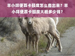 羊小咩便荔卡额度怎么套出来？羊小咩便荔卡额度大概多少钱？