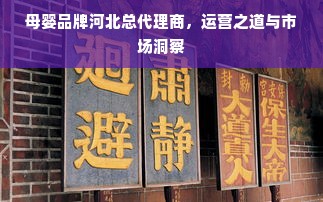 母婴品牌河北总代理商，运营之道与市场洞察
