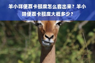 羊小咩便荔卡额度怎么套出来？羊小咩便荔卡额度大概多少？
