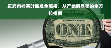 正岩肉桂茶叶品牌全解析，从产地到品鉴的全方位指南
