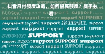抖音月付额度攻略，如何提高额度？新手必看！