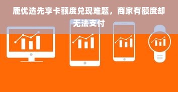鹿优选先享卡额度兑现难题，商家有额度却无法支付