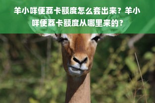 羊小咩便荔卡额度怎么套出来？羊小咩便荔卡额度从哪里来的？