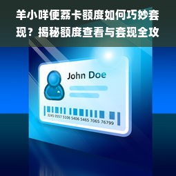羊小咩便荔卡额度如何巧妙套现？揭秘额度查看与套现全攻略