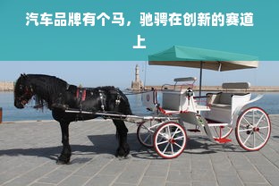汽车品牌有个马，驰骋在创新的赛道上